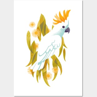 Sulphur Crested Cockatoo Posters and Art